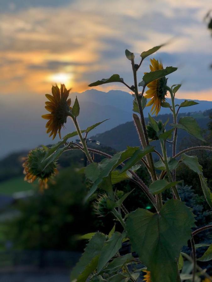 Alpenrose Apartment เมลตินา ภายนอก รูปภาพ