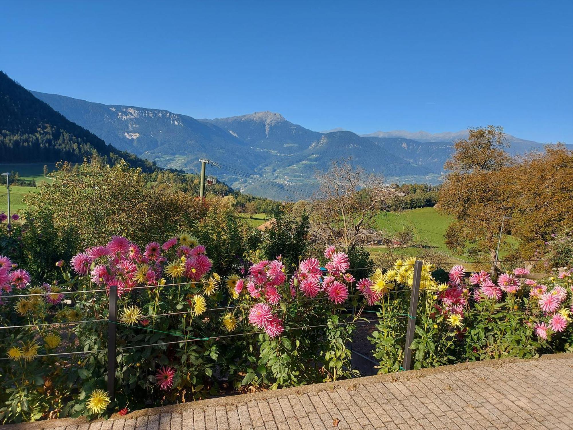 Alpenrose Apartment เมลตินา ภายนอก รูปภาพ